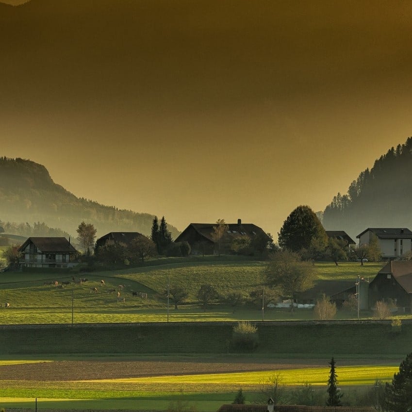 Ansiedad: un cuento terapéutico