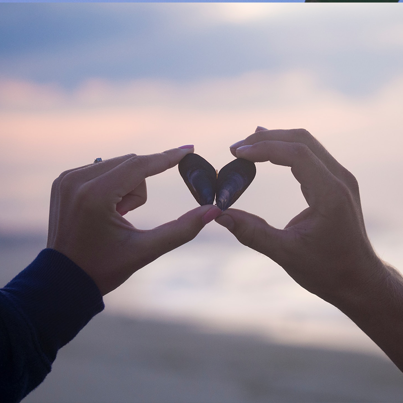 La importancia del perdón en las relaciones de pareja: Sanando heridas emocionales